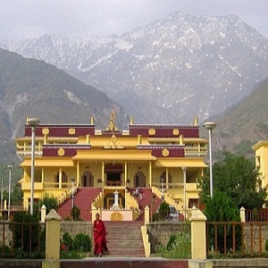 hotel in dharamshala near bus stand